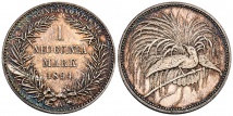 1 Neu-Guinea Mark 1894 A. J. 705.